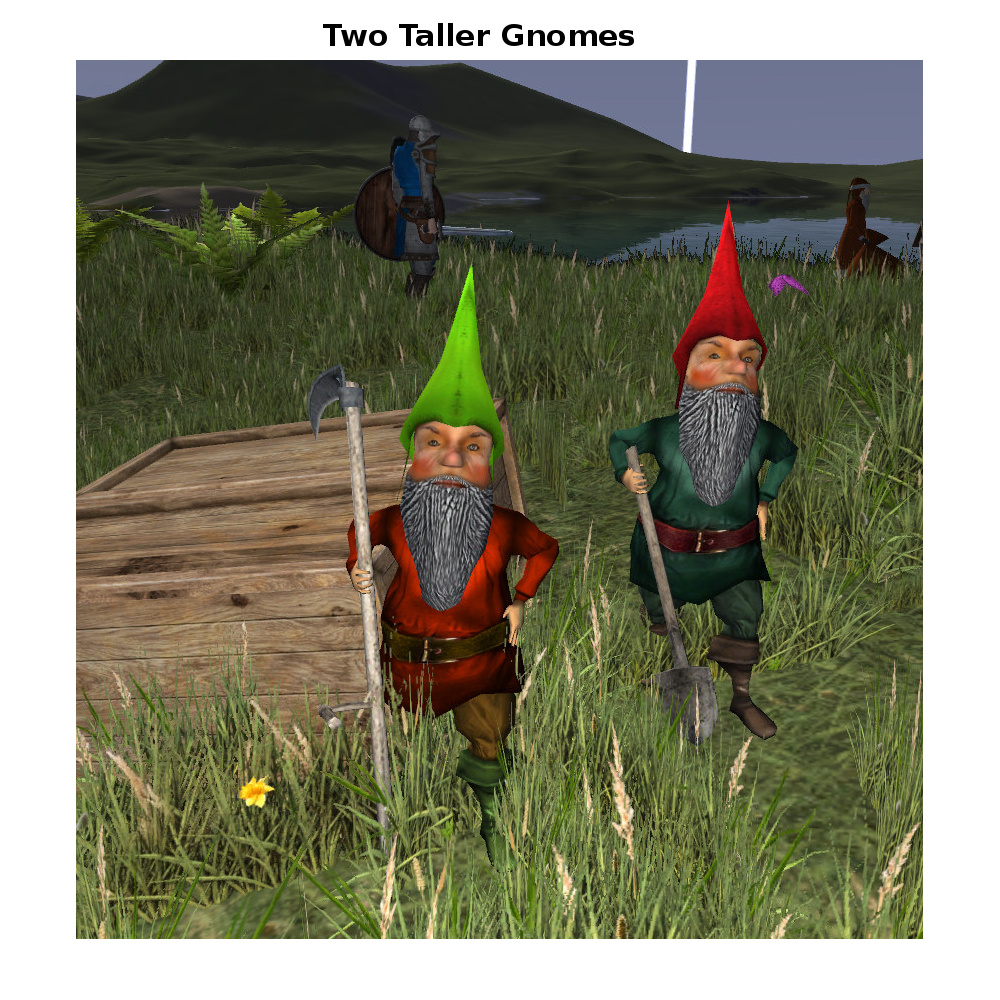 TwoTaller-Gnomes.jpg